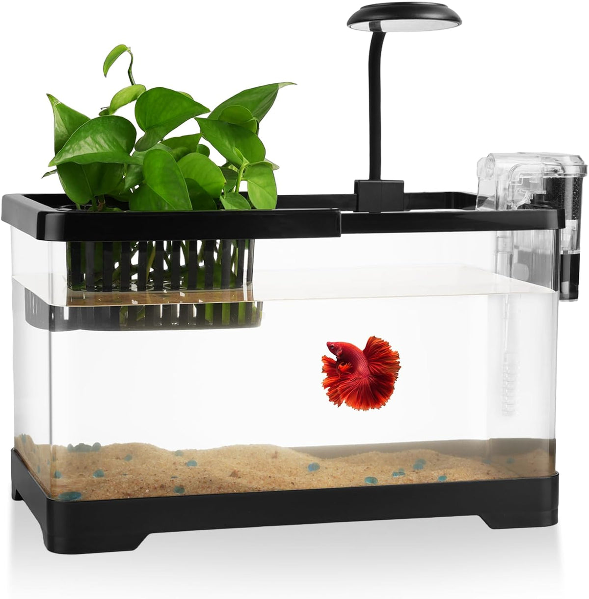 1.5 Gallon Aquarium Starter Kits - Long fish tank