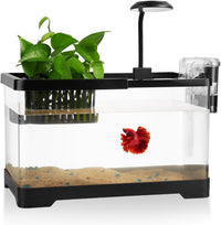 1.5 Gallon Aquarium Starter Kits - Long fish tank