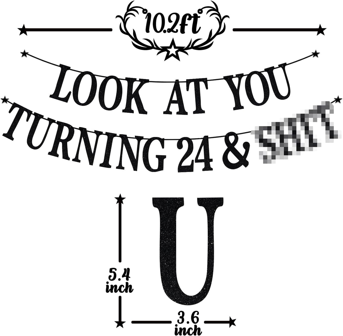 Black Glitter Look at You Turning 25 & Sh*t Banner - 24 - image 2