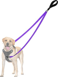 Two Point Control Dog Leash, No Tangle Training Walking Leashes – Essentials for Dogs - Purple