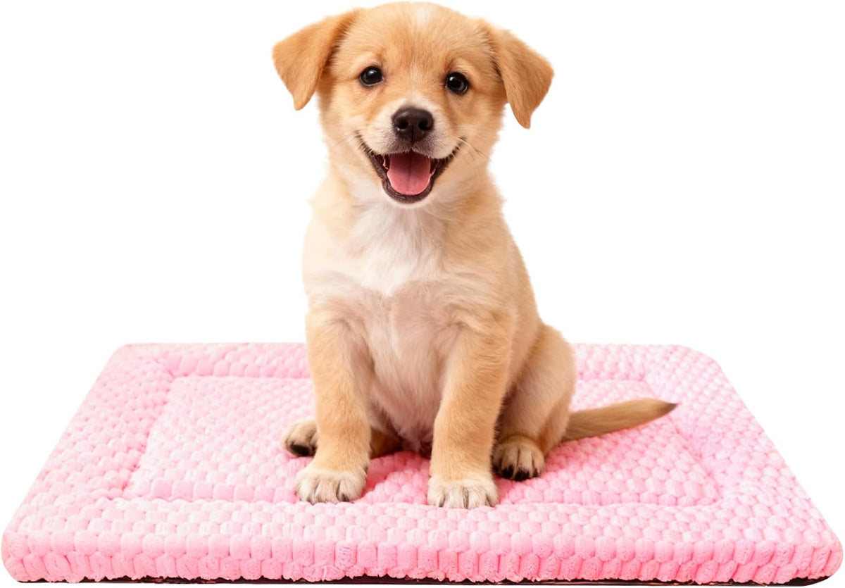 Dog Bed Mat,Reversible & Ultra Soft Kennel Pad-Machine Washable Pet Bed for Dogs & Cats-All-Weather - 24.0" L x 18.0" W x 1.5" Th / Pink