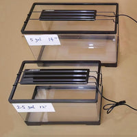 AQUANEAT LED Aquarium Light Full Spectrum for 18 Inch to 24 Inch Fish - 11"-14" (Pack of 2) - image 3