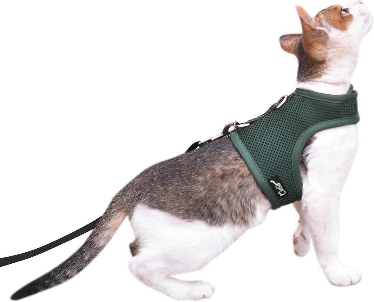 Cat Harness and Leash Set for Walking Escape Proof - Green / M 5.5-9 lbs