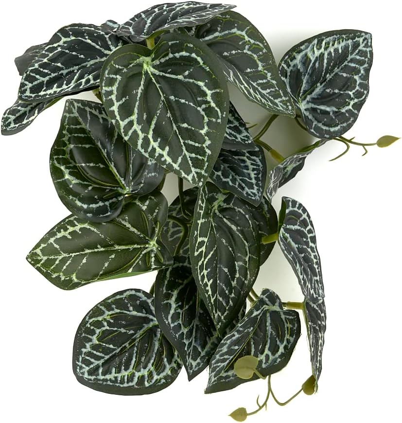 Fake Calathea Orbifolia, Reptile Terrarium Suction Plants – Essentials for Fish - Fake Anthurium Crystallinum