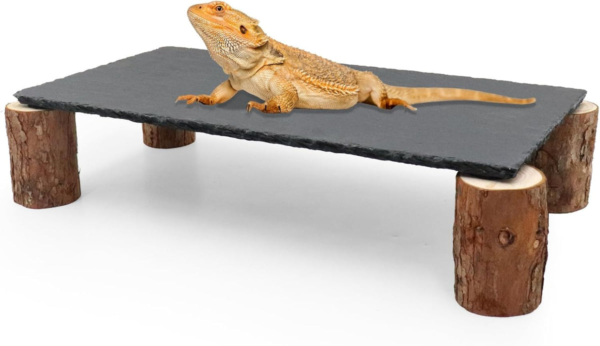 Bearded Dragon Basking Platform - Black / Large