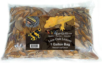 XYZReptiles Premium Live Oak Leaf Litter Isopod Substrate Terrarium - image 2