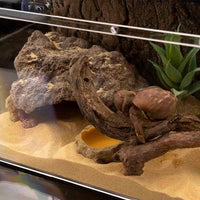 Reptile Hide Bearded Dragon Cave Hideouts Habitat Décor for Snake – Essentials for Reptiles And Amphibians - Large - image 2