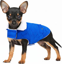 Dog Winter Coats for Small Dogs Puppies - Solid RoyalBlue / Medium