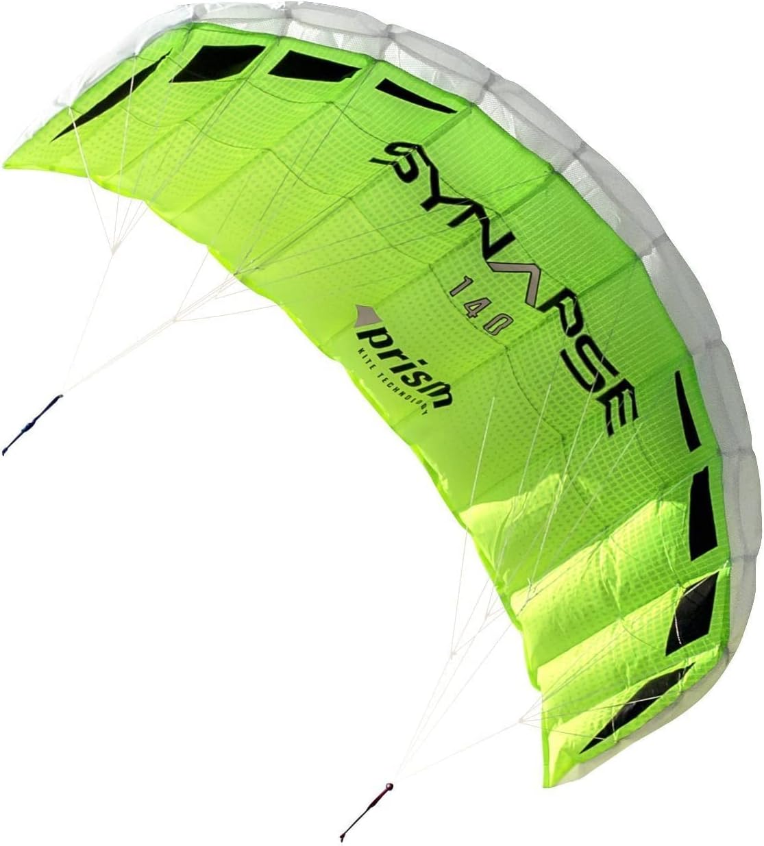 Prism Kite Technology Synapse Dual-line Parafoil Kite