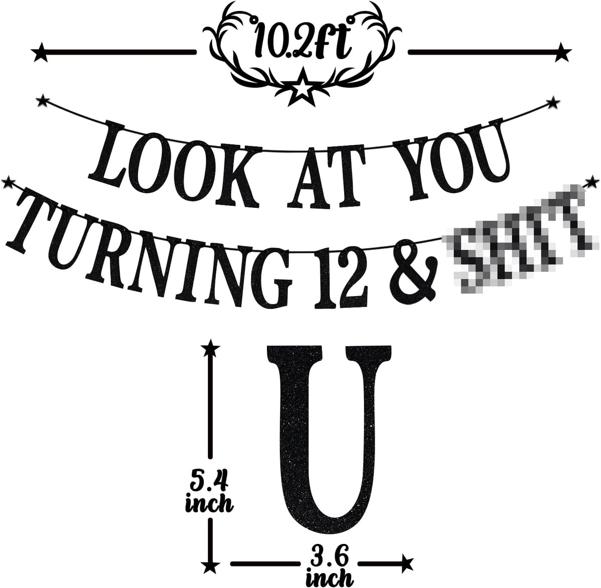Black Glitter Look at You Turning 25 & Sh*t Banner - 12 - image 2