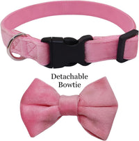 Dog Collar with Bowtie Soft Velvet Material with Quick Release Buckle - M / Pink - image 4