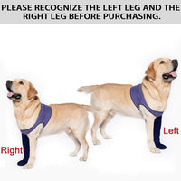 COODEO Dog Socks to Prevent Licking Paws - 3XL_Right / Purple - image 4