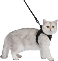 Voyager Step-in Air Cat Harness & Leash Set, XS - Black / XXXS (Chest: 11 - 12") - image 2
