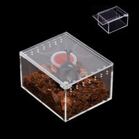 Insect breeding Box Reptile Feeding Box