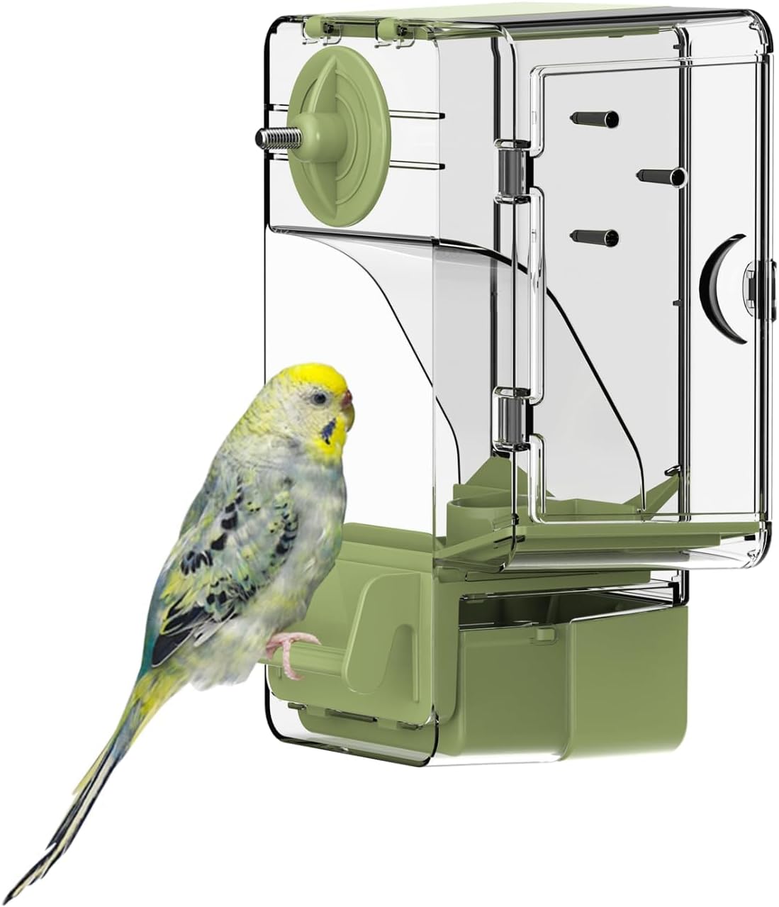 Automatic Bird Feeder, Bird Cage Feeder with Perch Multi-Functional Holder for Fruits Vegetables - Green