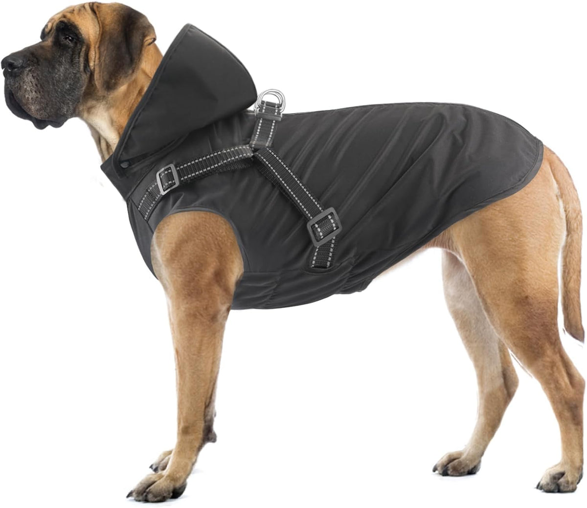 Dog Raincoat Waterproof Dog Hoodie Reflective Dog Raincoat Hooded - M / Black