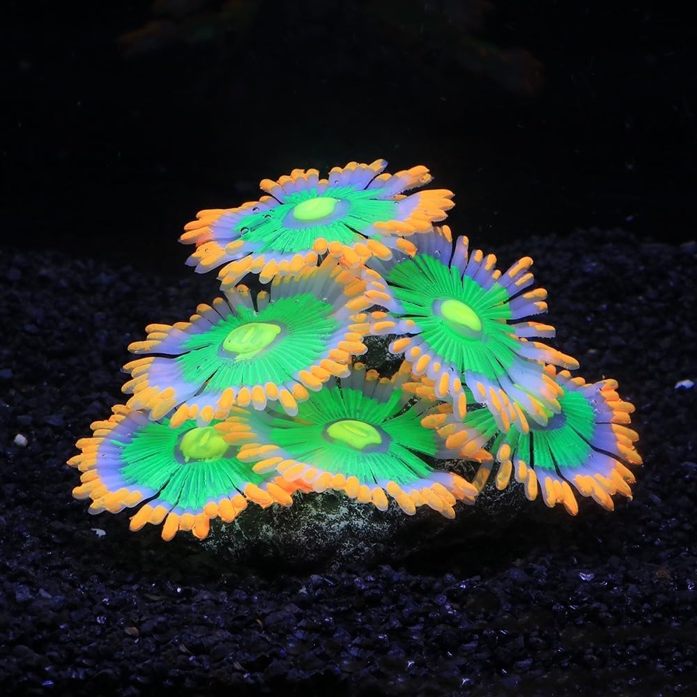 ZtohPyo Glow Fish Tank Decorations - Orange - image 2