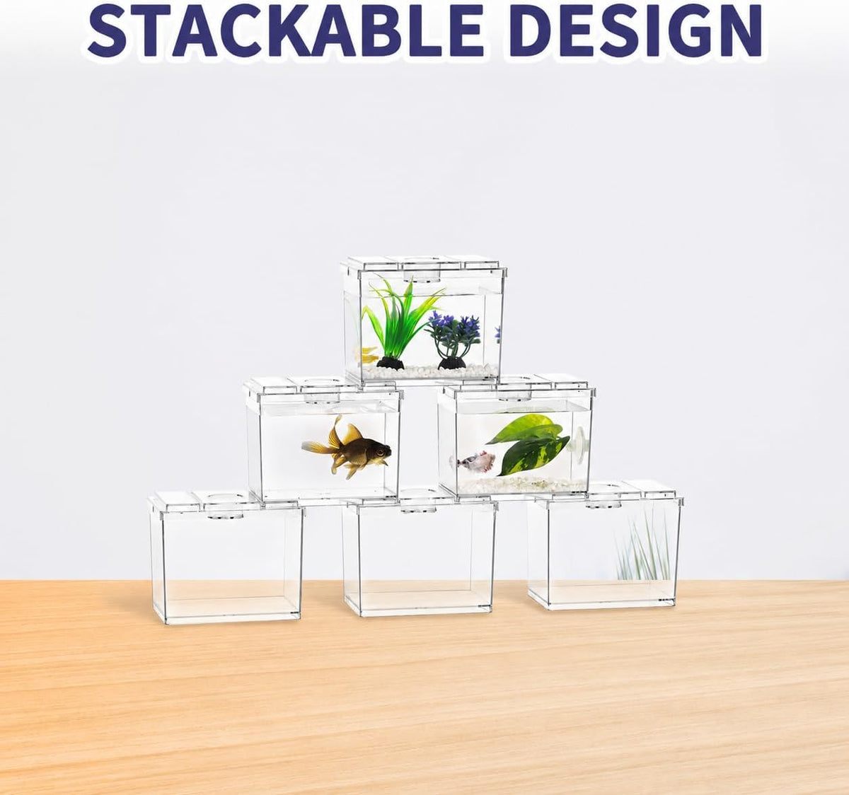 MoonOrange Mini Betta Fish Tank Kit with LED Light Base - Mini Tank 01 + 02 - image 3