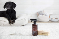 The Spruce Pet Stain & Odor Remover - 17 Fl Oz (Pack of 1) - image 4