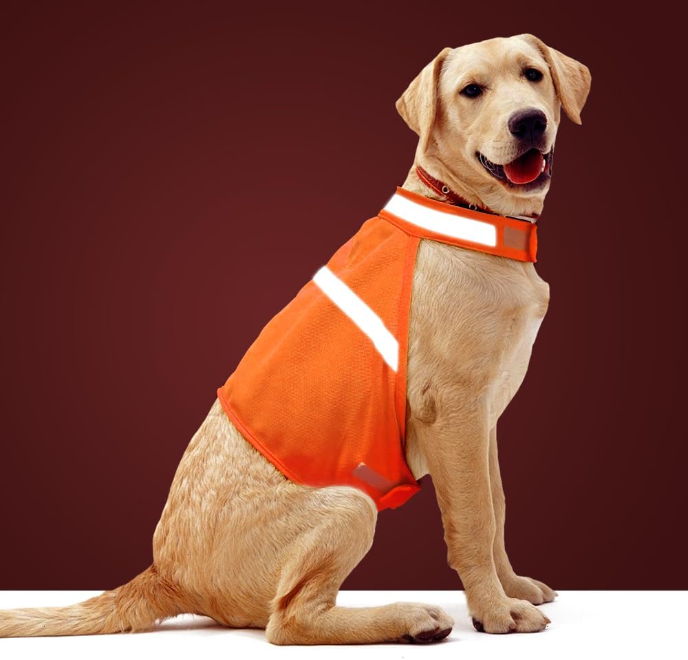 Dog Jacket High Visibility Safety Reflective Dog Vest for Small - Orange / S