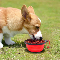 Dog Bowl Pet Collapsible Bowls - Small / Blue+Red - image 2