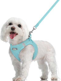 rabbitgoo Dog Harness Small Sized and Leash Set - Mint Blue / M (chest: 16 - 18.5")