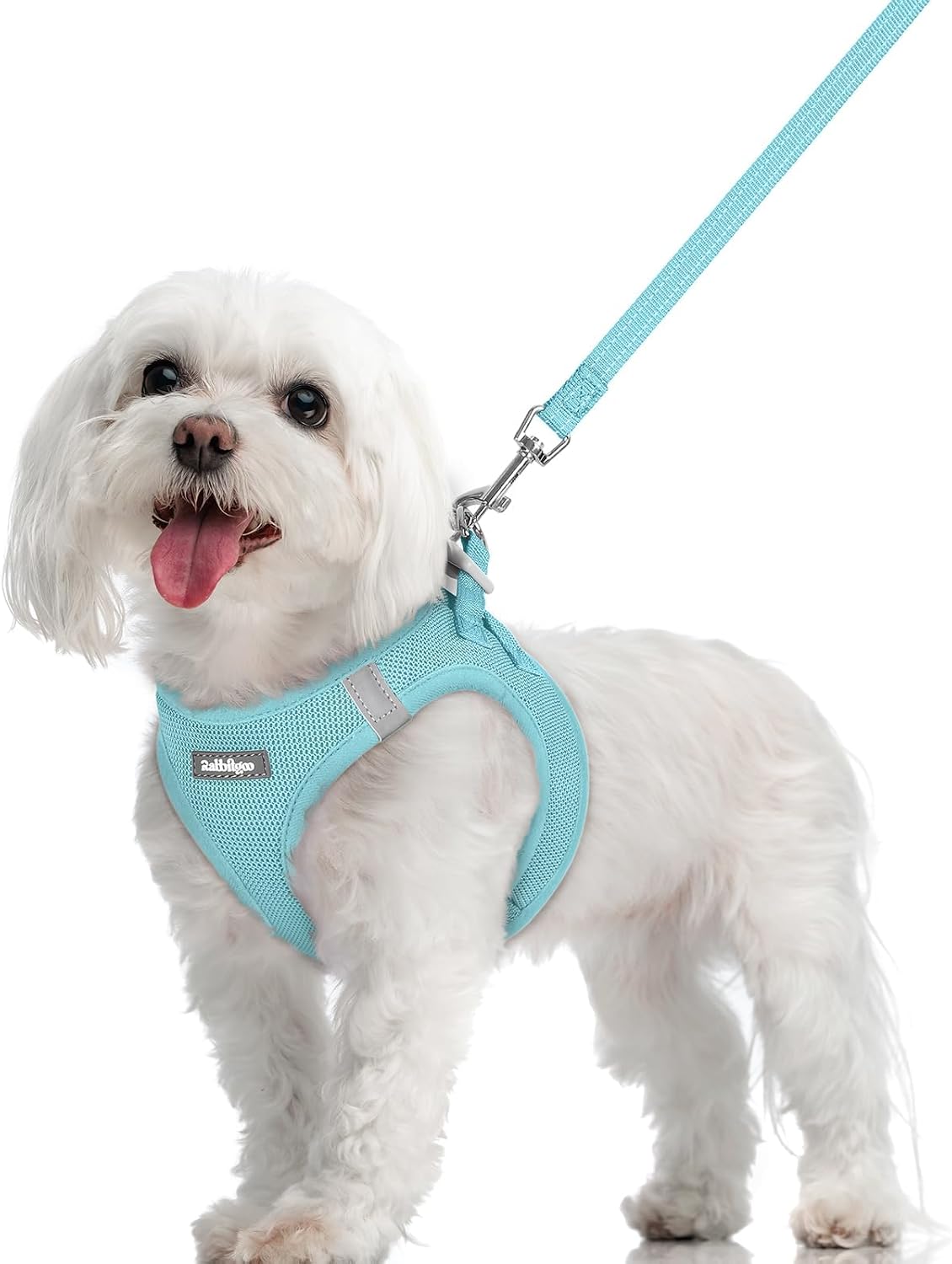 rabbitgoo Dog Harness Small Sized and Leash Set - Mint Blue / M (chest: 16 - 18.5")