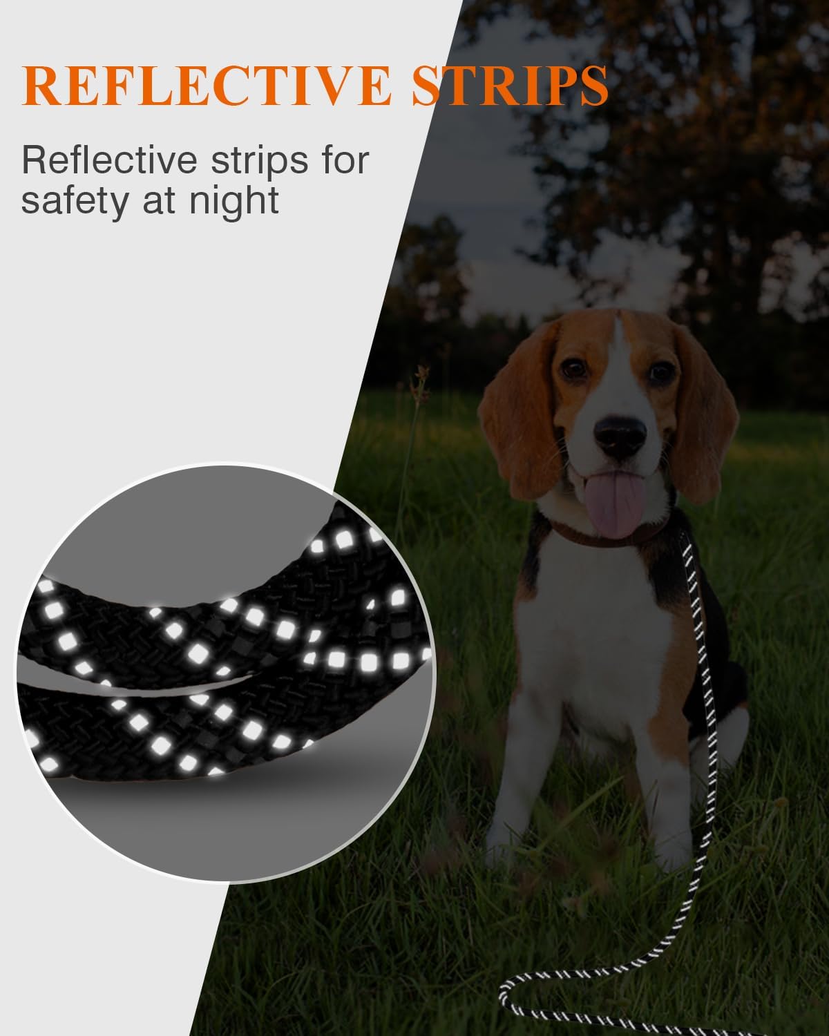 Taglory Long Dog Leash, 15FT 30FT 50FT 66FT, Training and Recall Leash with Comfortable Padded - 50 Foot - with handle / Black - image 2