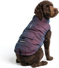 Spark Paws Dog Winter Coat Jacket - Cosmic / XX-Large