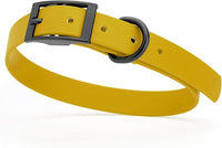 Dogline Biothane Waterproof Dog Collar Strong Coated Nylon Webbing with Black Hardware Odor- Proof for Easy Care Easy to Clean High Performance Fits Small Medium or Large Dogs, Treasure Gold