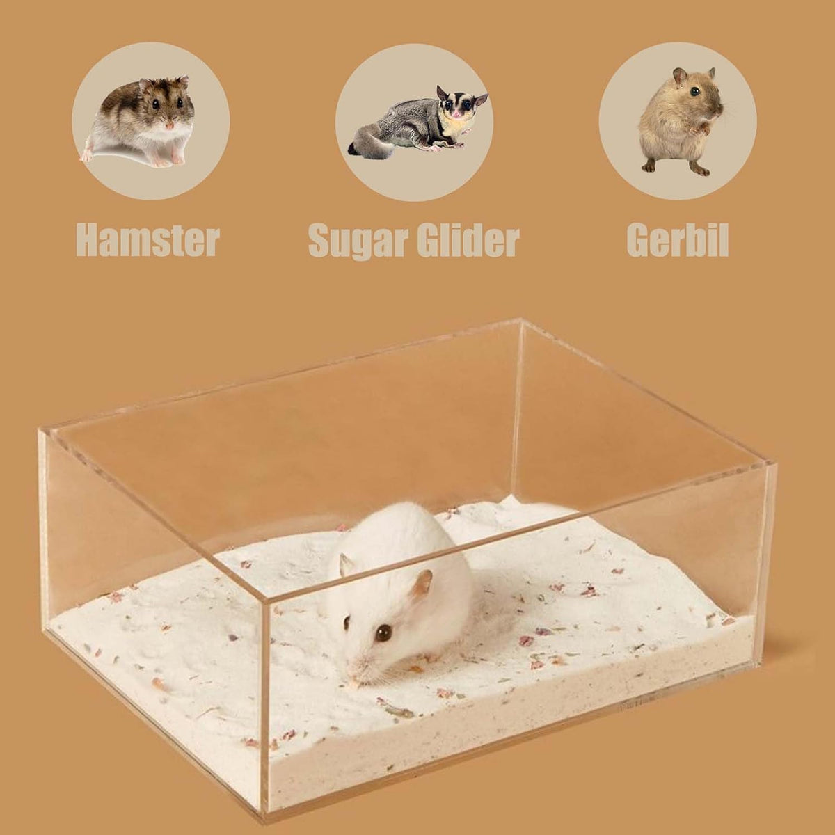 Hamster Sand Bath Box, Pentagon Sand Container with Ladder – Essentials for Small Pets - Pentagon / L - image 3