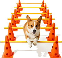 Dog Agility Course Backyard Set - 12 IN / Orange