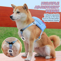 Dog Backpack Harness with Leash - Small / Blue - image 3