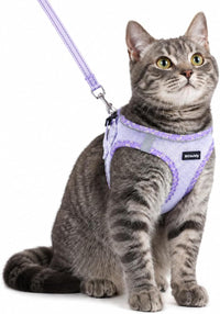 Rttochfy Cat Harness and Leash Set, Escape Proof Kitten Harness - XS (Chest:12.5"-14") / Purple