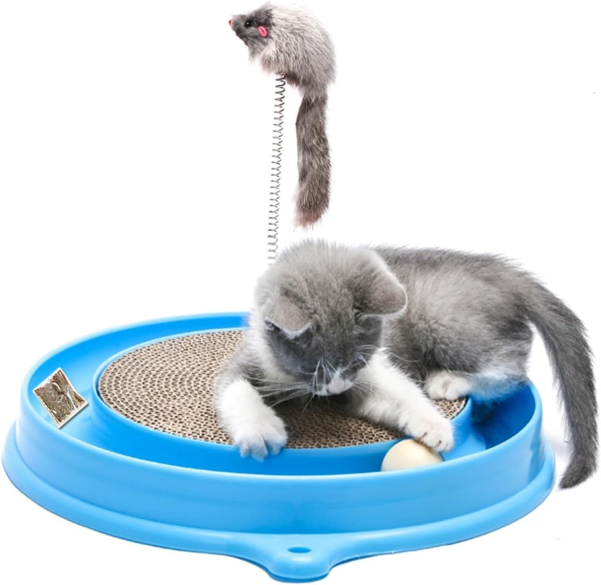 AUOON Cat Scratcher Toy with Ball Track for Indoor Cats and Kittens - Blue