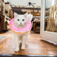 BINGPET Soft Donut Cat & Small Dog Recovery Collar, Adjustable Protective Pet Cone After Surgery