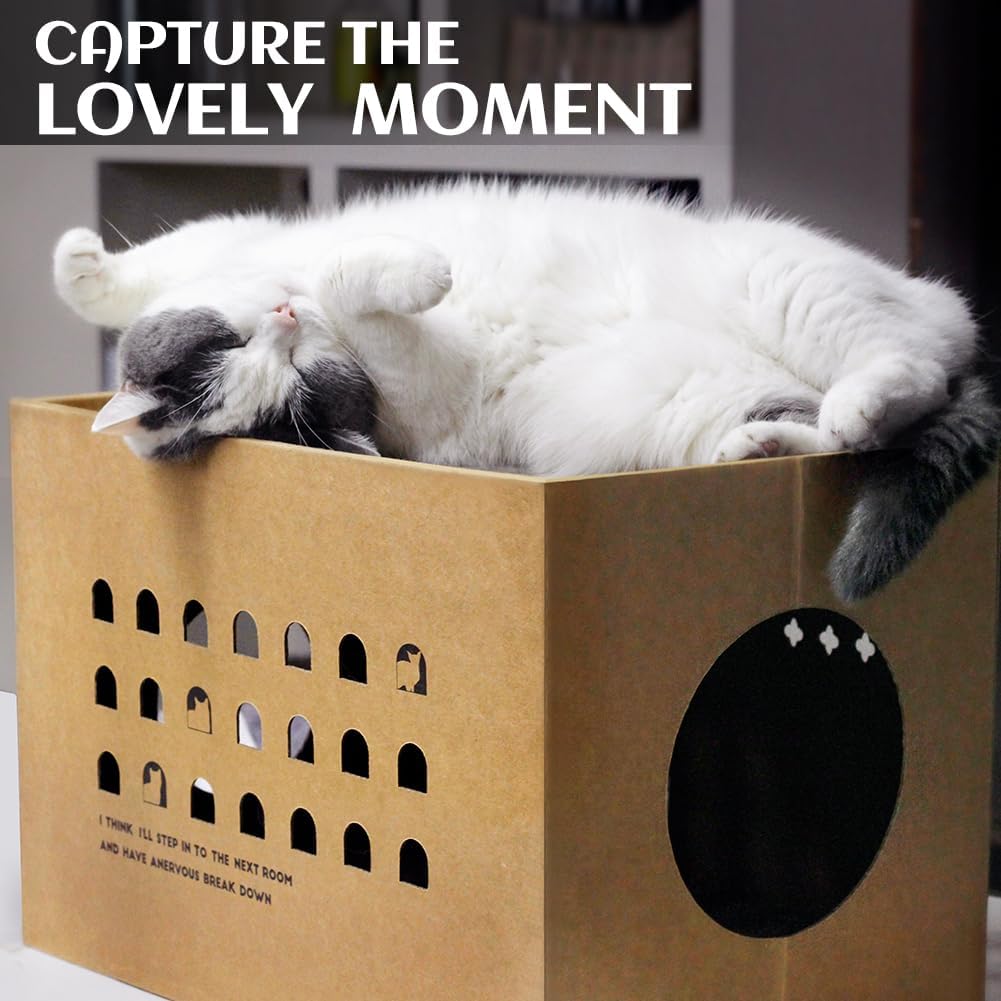 ARGOPET Cat Cardboard House with 2 PCS Scratching Pads – Essentials for Cats - Wood-Cactus - image 4