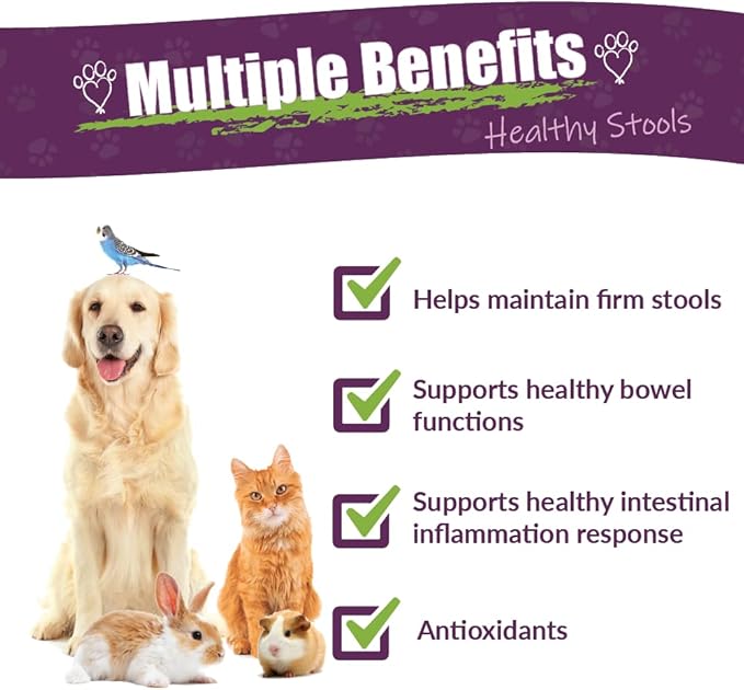 Amber NaturalZ Kochi Free Herbal Supplement for Dogs, Cats, Birds, Rabbits, and Guinea Pigs | Supports Healthy Bowel Function | Natural Aid for Digestive Balance | 4 Fluid Ounce Glass Bottle