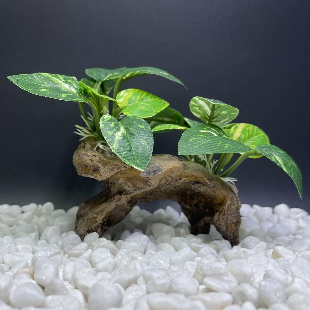 Fish Tank Decorations Aquarium Decor Ornaments Betta Silk Leaf pad - Type-c - image 2