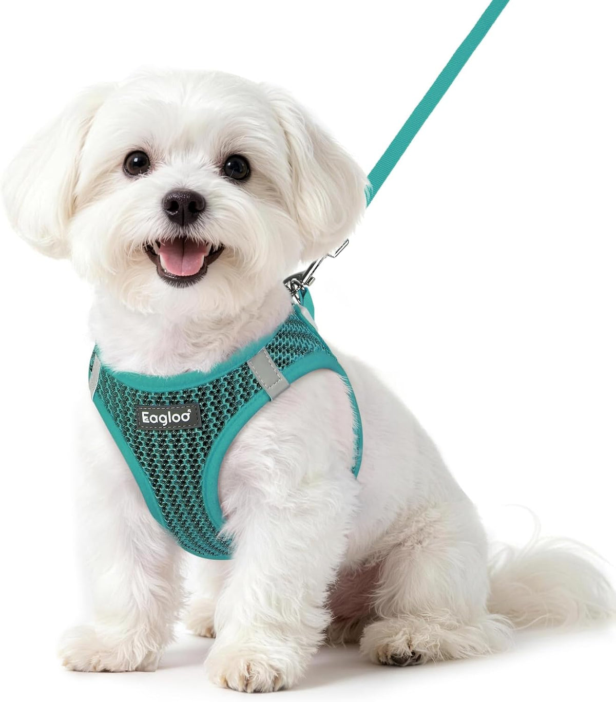 Eagloo Small Dog Harness and Leash Set - S(Chest:15.1"-16.5") / Forest Green