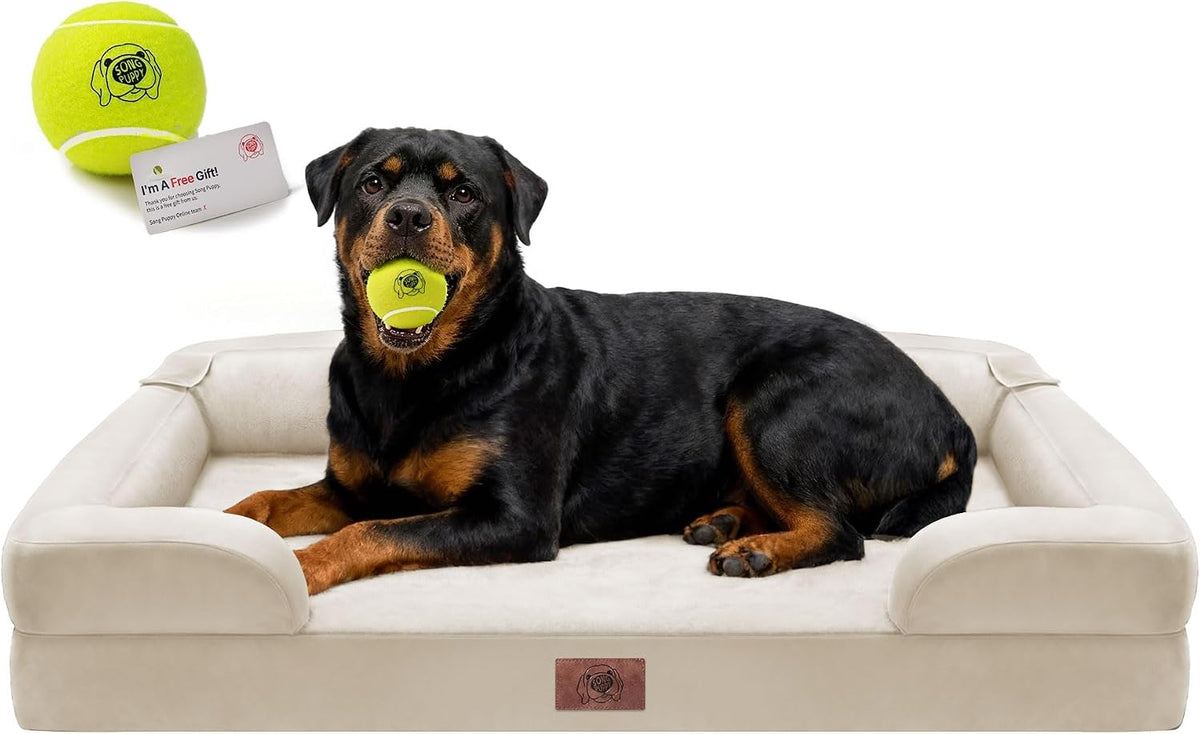 Waterproof Orthopedic Dog Bed for Extra Large Sized Dogs – Essentials for Dogs - 45 x 35 x 9 in / Beige