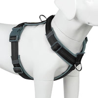 Plutus Pet No Pull Dog Harness - M / Black