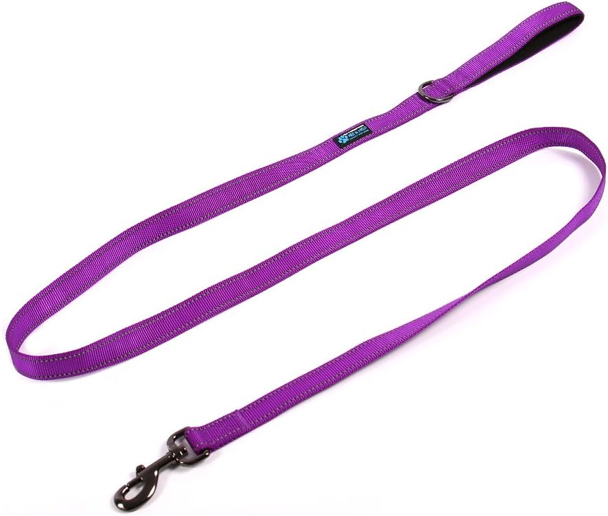 Max and Neo Reflective Nylon Dog Leash - 4 FT x 1" Wide / PURPLE - image 4