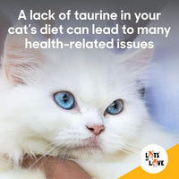 FELO Taurine - Taurine Supplement for Cats, Taurine for Cats, Taurine Powder for Cat - 16 Oz, Powder (Thomas Pet Earlier)