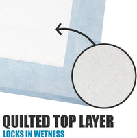 BV Puppy Pads Leak-Proof 100 Count 22"x 22" - 50 Count (Standard) - image 2