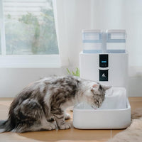 DailyFresh Cat Water Fountain 10L/338 oz Self Refilling, Pet Drinking Fountains for Dogs Indoor, Smart APP 5G WiFi Automatic Water Dispenser Oxygen-Rich, Wastewater Separation, BPA-Free