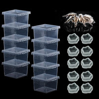 10 Pack Small Size Spider Terrariums Breeding Box Hatching Container Insect Scorpion Centipede Acrylic Breeding Box (with 10 Pcs Micro Water Bowl