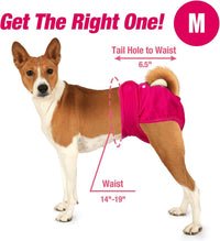 Pet Soft Washable Female Diapers Female Dog Diapers - Classy / Medium:14''-19'' - image 4