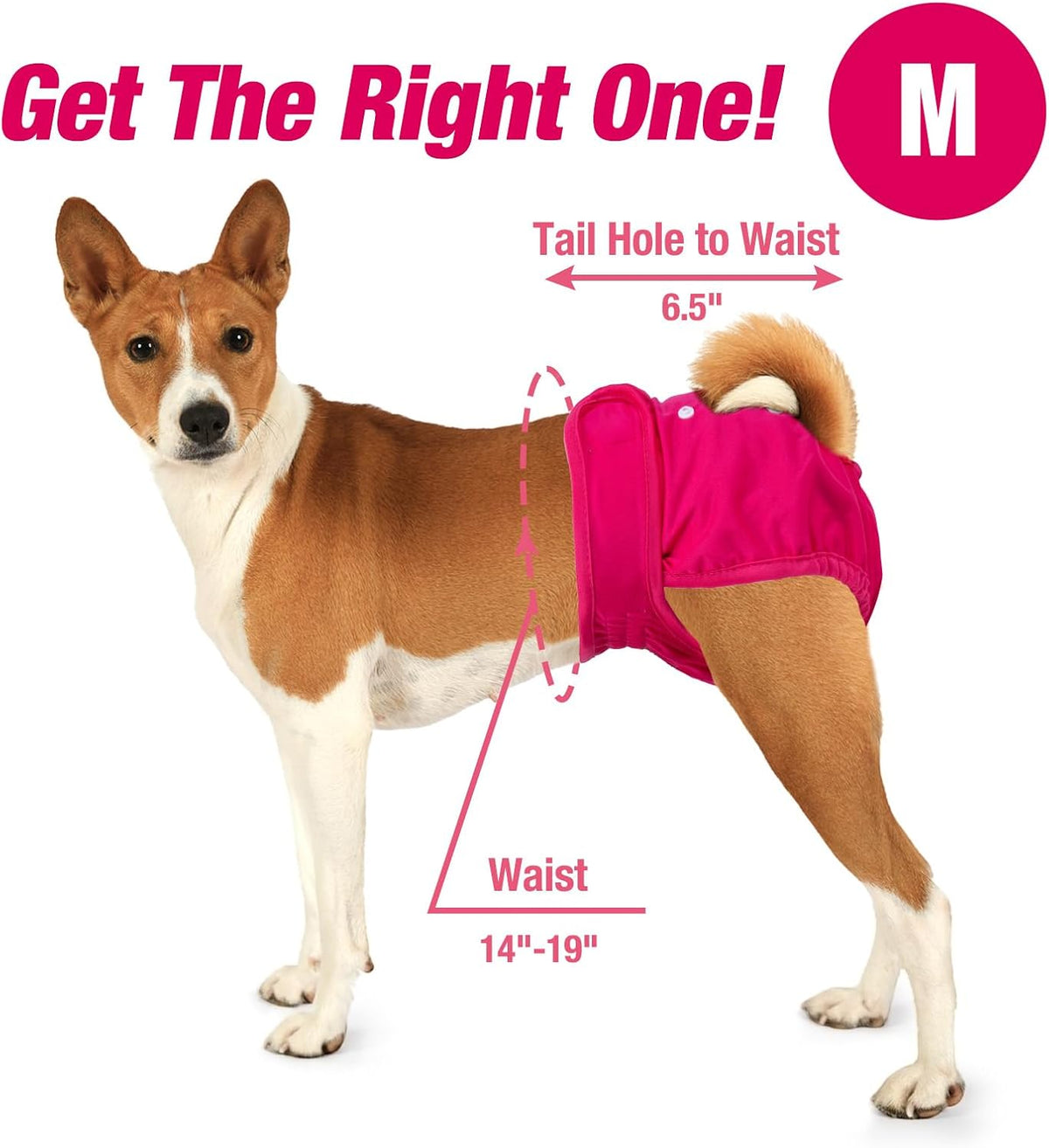 Pet Soft Washable Female Diapers Female Dog Diapers - Classy / Medium:14''-19'' - image 4