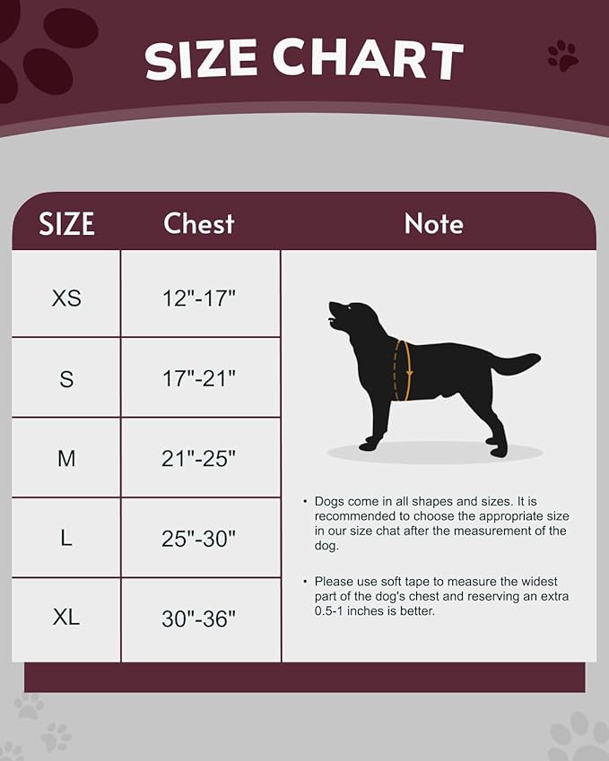 MIDOG No-Pull Dog Harness | Adjustable & Reflective Pet Harness Leash Set for Small Medium Large Dogs Walking, Training| No Choke, Front Clip, Soft Padded Vest with Easy Control Handle - Pink, M